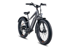 RadRover 6 Plus quarter view