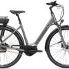 Giant Entour E+0 RT E-Bike